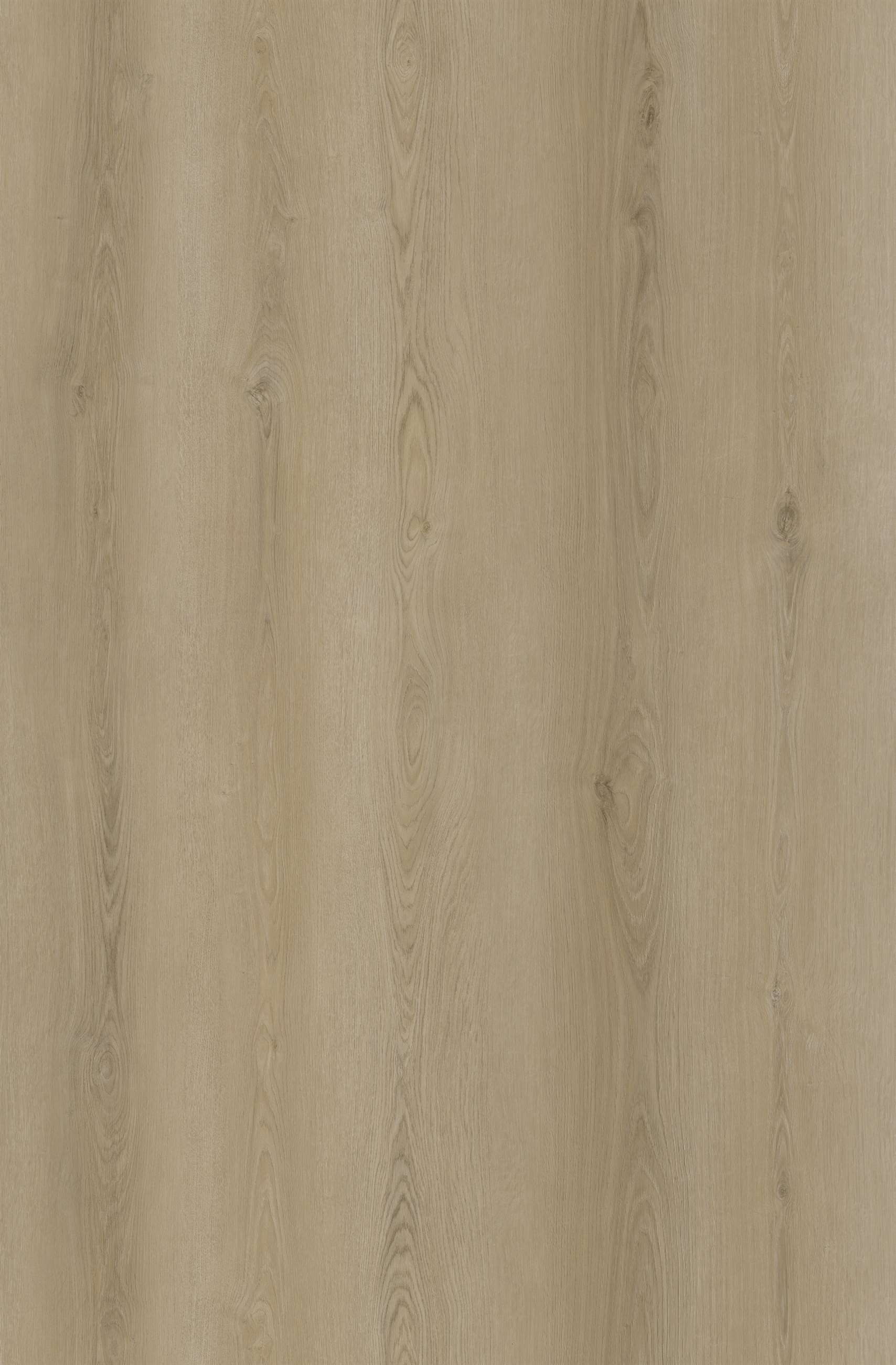 c7325 - latte