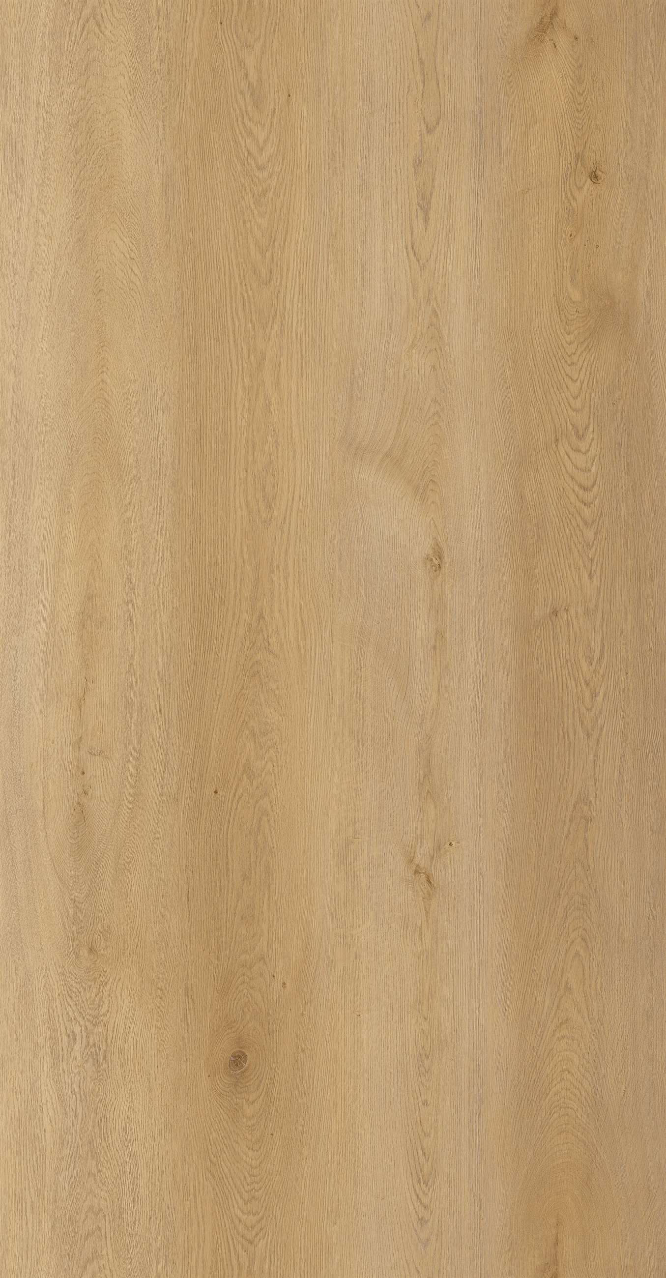 bst88021l-20a-full page