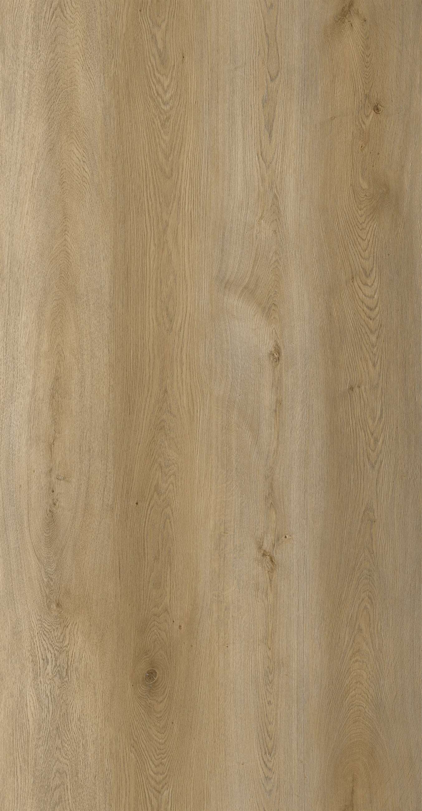bst88021l-227-full page